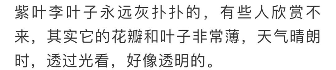 看到花的时候,不知是什么花?那就收下这份百花图谱