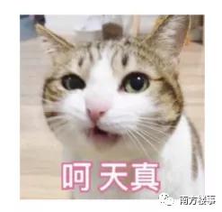 “历经15天，跨越3个国家，我还是买不到口罩”