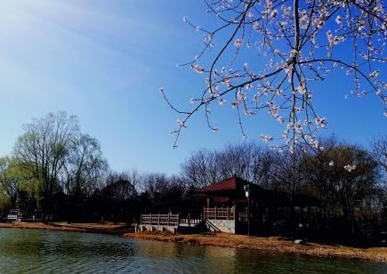 北京戒台寺郊野公园,北京燕山东岭郊野公园