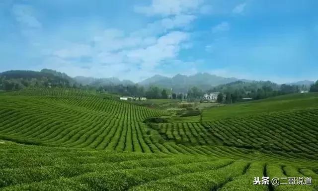 适合一人独处的地方,一个人去哪里散心最好遵义