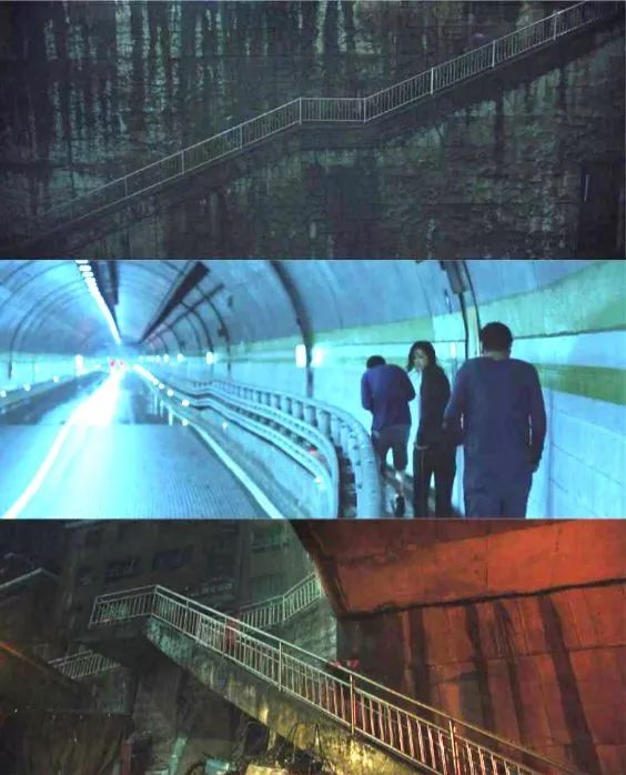 寄生虫里的穷人与富人,寄生虫揭露穷人和富人的本质