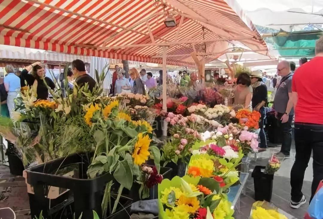 世界花卉交易市场排行榜前十名,世界上最稀有的花卉市场
