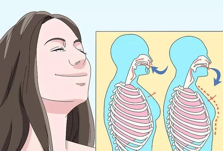 跟我一起学游泳视频,成人零基础游泳入门如何呼吸换气