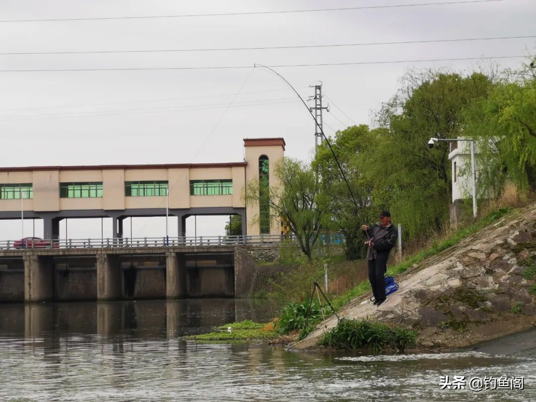 钓鱼鱼不吃鱼料怎么办,钓鱼用什么饵料鱼才肯吃钩