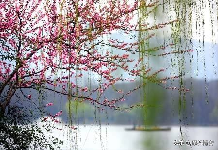 明代家具的历史简介,一件明代家具多少钱