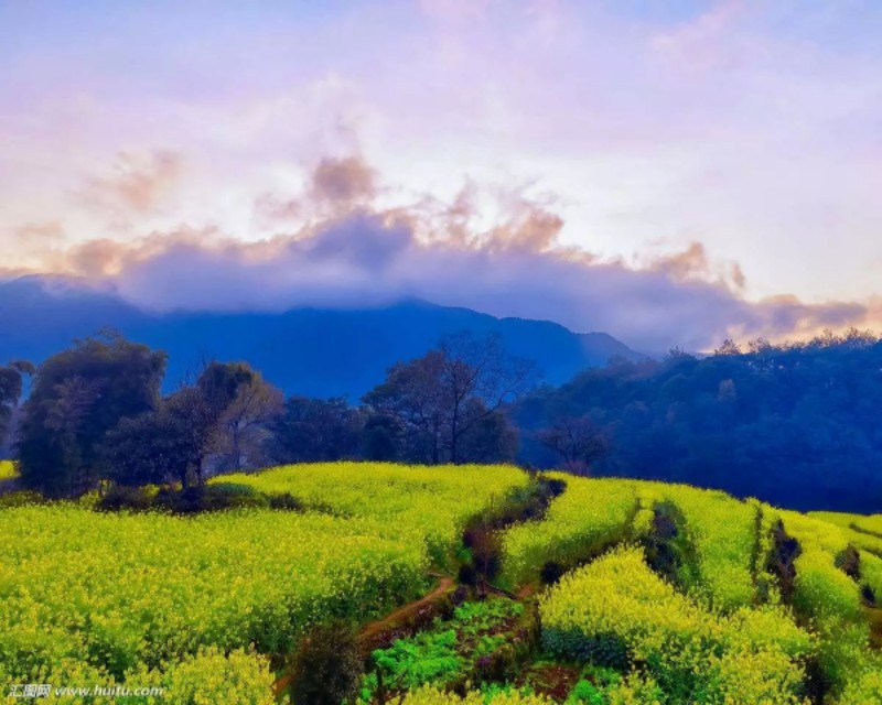 大可老师合集,大可老师讲座