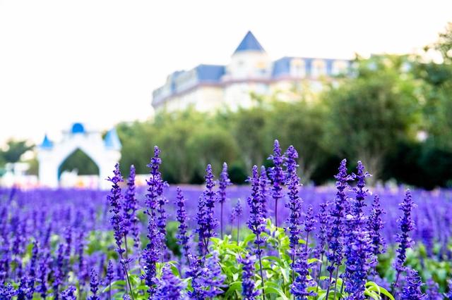 广东适合情侣旅游景点推荐,适合情侣旅游的广东景点