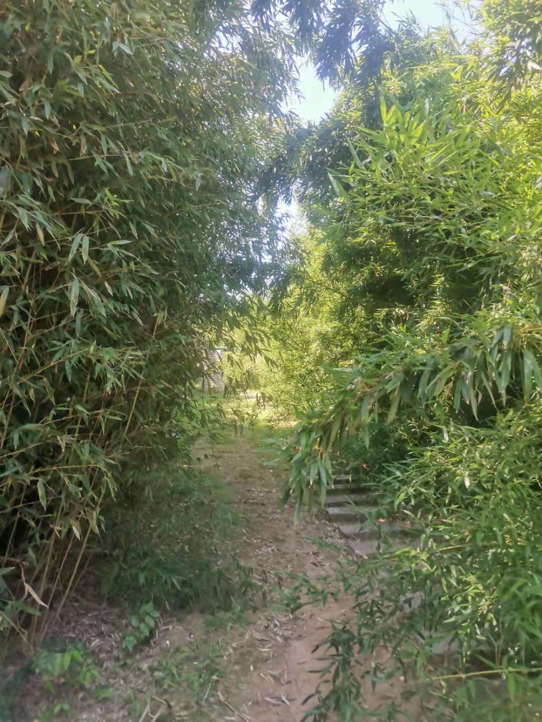 青岛城阳世纪公园,青岛世纪公园在哪