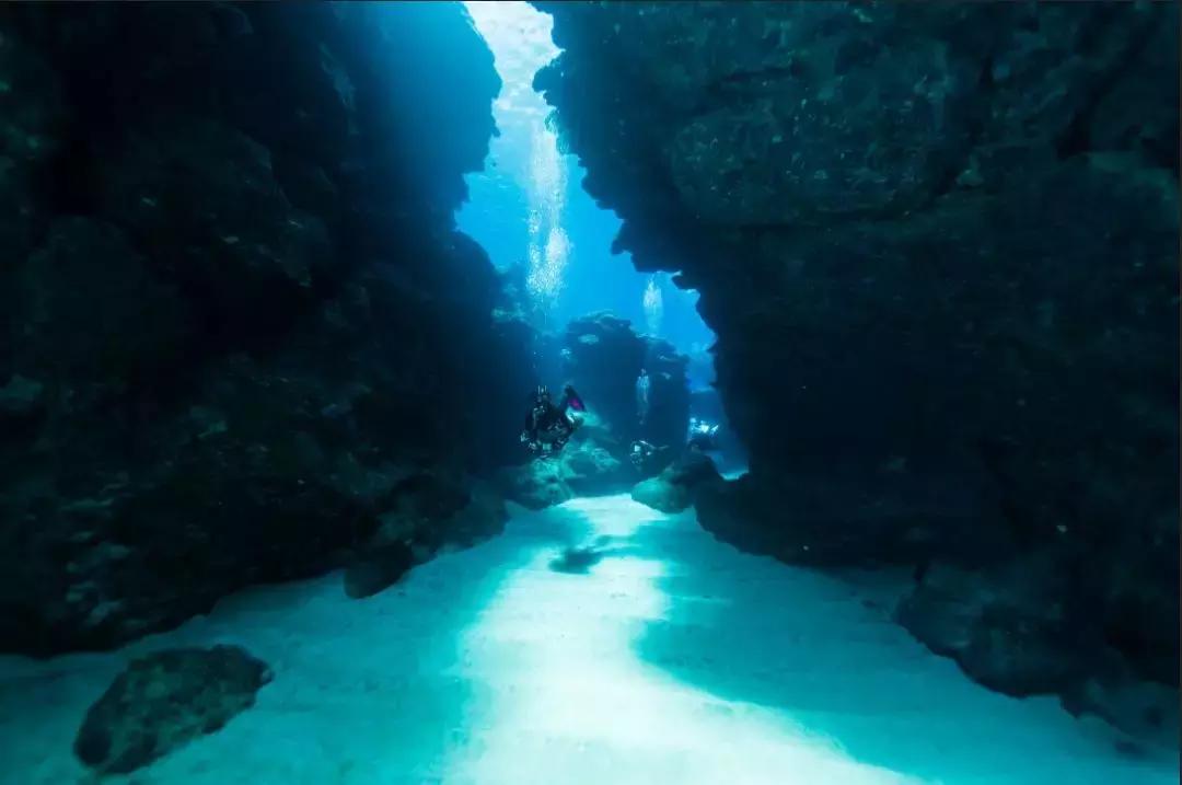 涛岛潜水好吗,去涛岛潜水