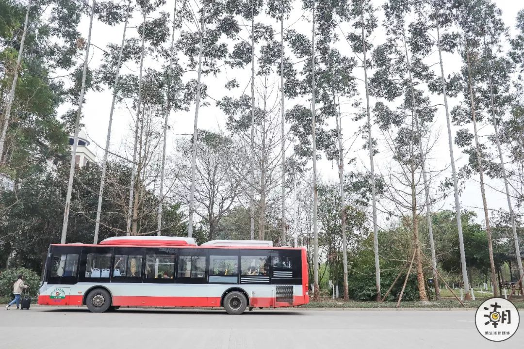 閿﹀煄鐨囧璐垫棌瀛﹂櫌,鎴愰兘閿﹀煄璐垫棌瀛﹂櫌