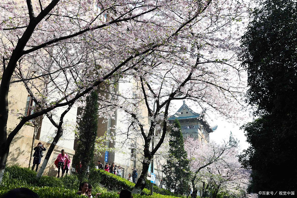 武大博士后杭州社区做社工，月薪五六千，每个选择都值得尊重