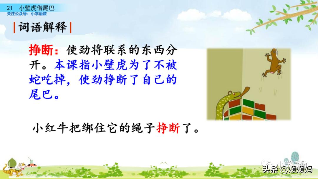 一年级小壁虎借尾巴原文图片,小壁虎借尾巴优质课一等奖