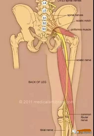 病理脚麻的最快恢复方法,脚麻诊断思路