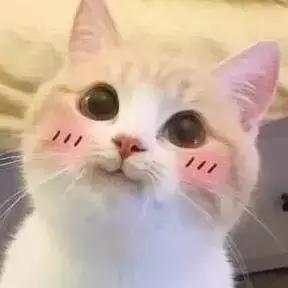 五一期间不加价的亲子酒店团购,昆山十大高档酒店下午茶