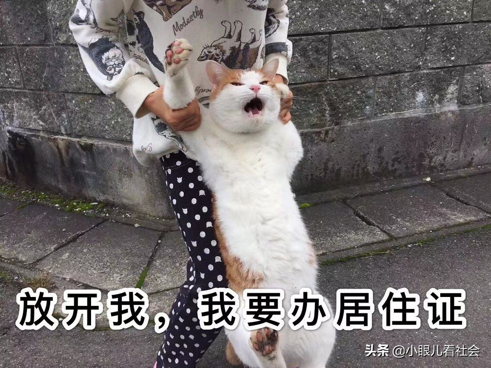 北京摇号要求工作居住证么,北京摇号对居住证要求