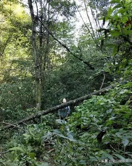 被男朋友偷拍自己的照片,发现男朋友偷拍我照片