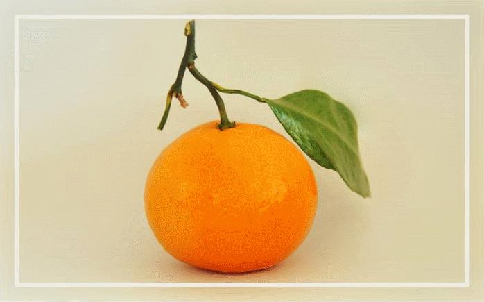 衣服裁剪制作女,服装立体裁剪稿子怎么做