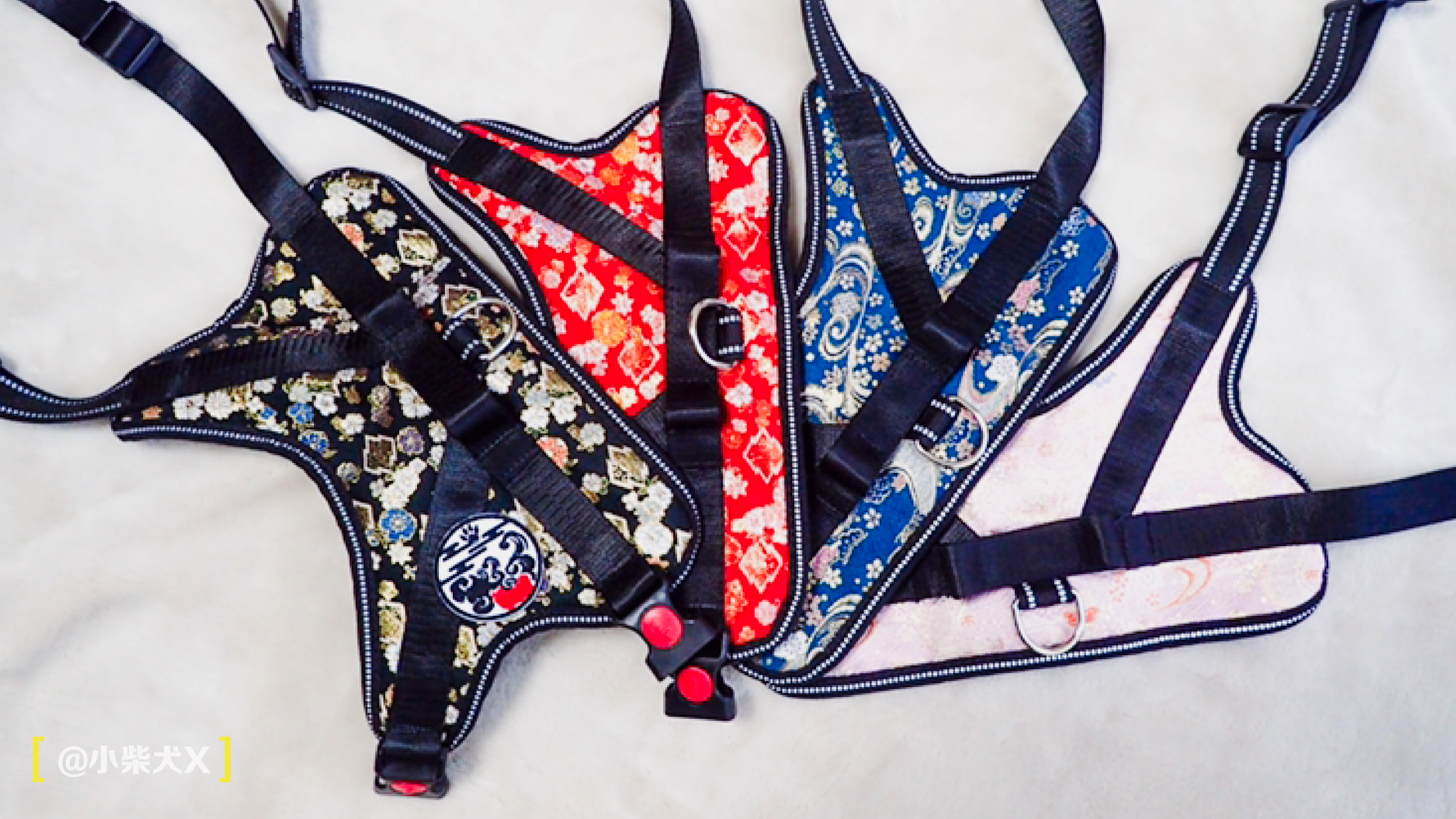 一对日本夫妇设计了最具日本传统特色的狗狗用品,太适合柴犬了