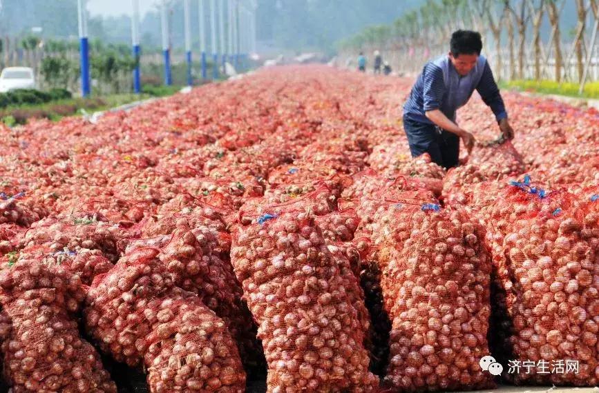 市长发话,济宁发布重大利好消息!惠及济宁800万人!