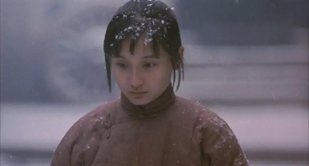 男权主义的小说,对妻妾成群这本小说的评价