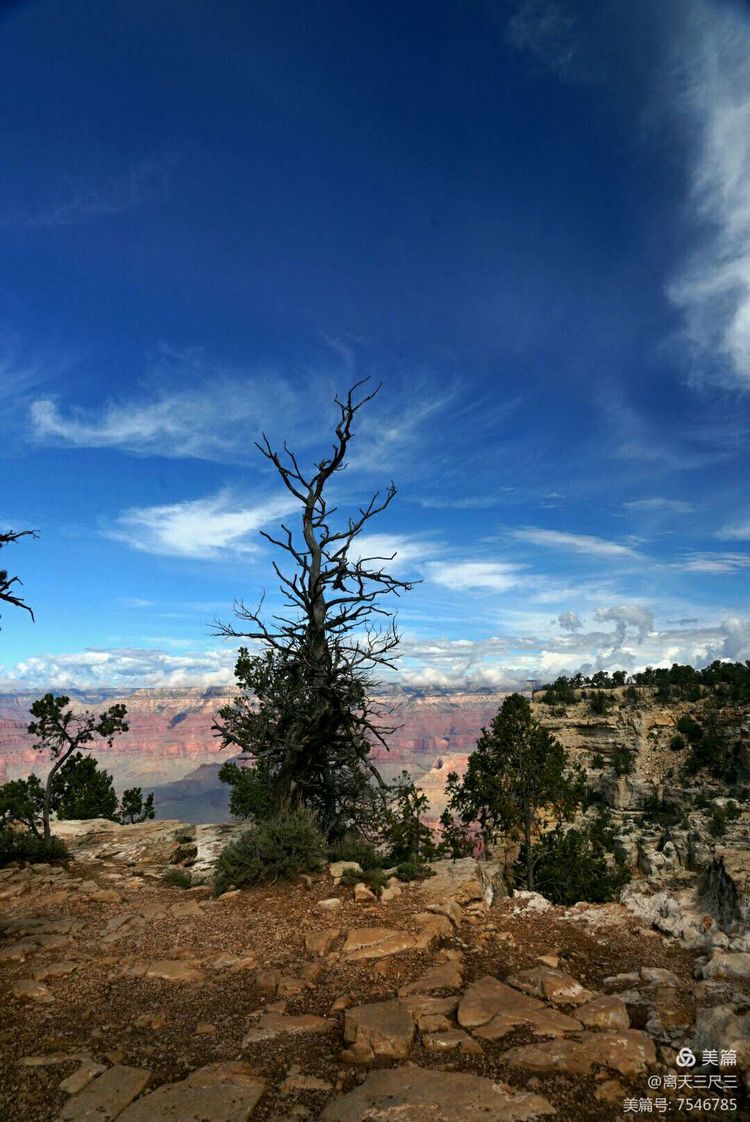 鍖楃編鏋儏闃虫柊,鍖楃編鏋儏鍥剧墖