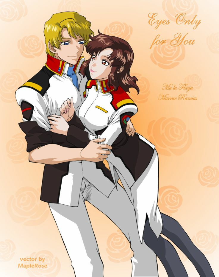 机动战士高达seed全部高达介绍,机动战士高达seed超帅卡点图片