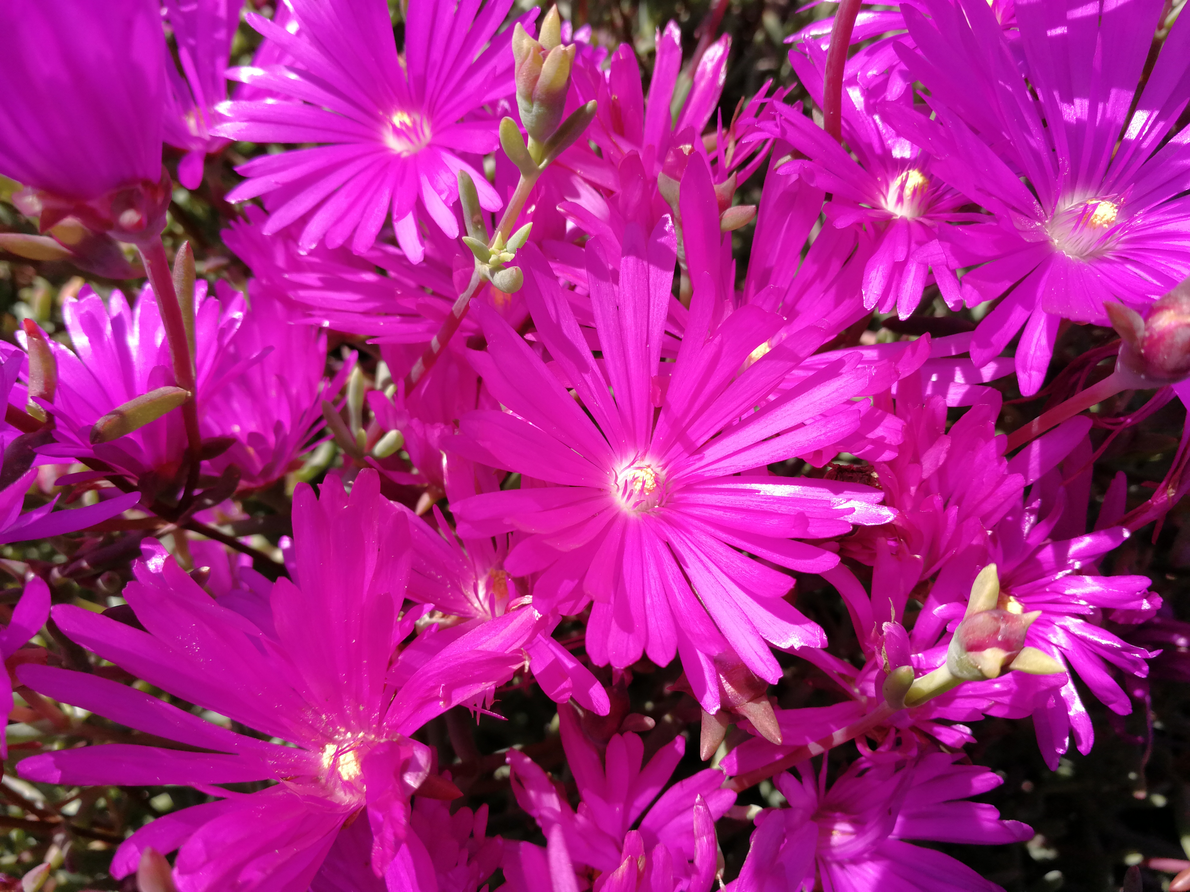 公司银行账户有什么风险,公司的银行账户有风险吗