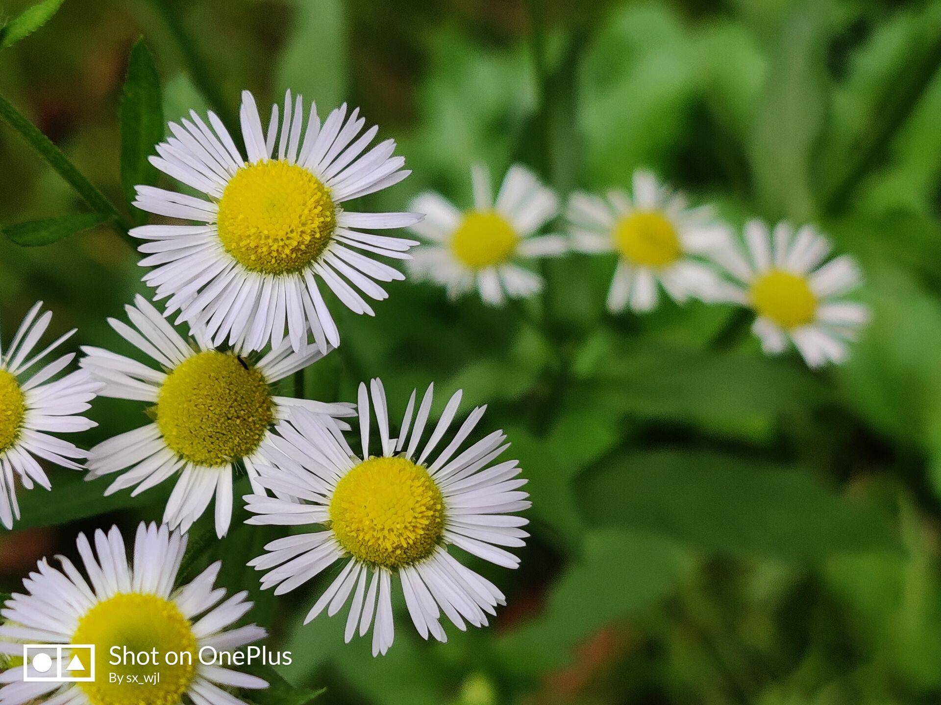 一加7pro充电多少w,一加7prowifi6