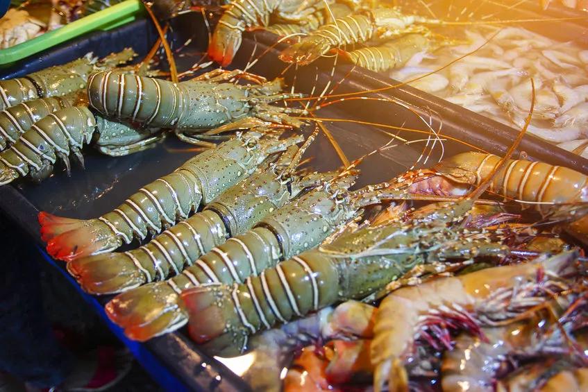 吃19块钱的海鲜自助,深圳133块钱海鲜吃到爽