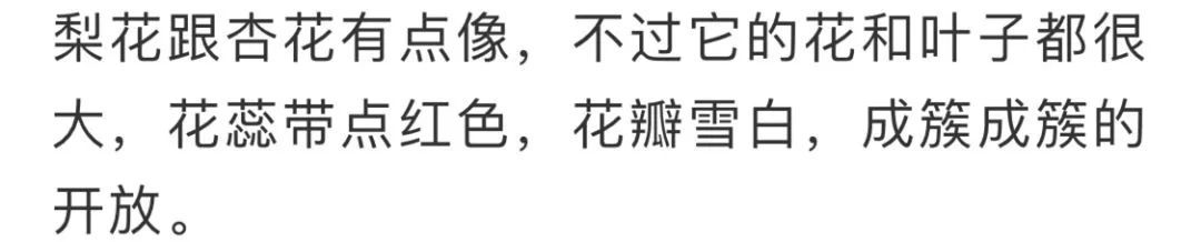 看到花的时候,不知是什么花?那就收下这份百花图谱