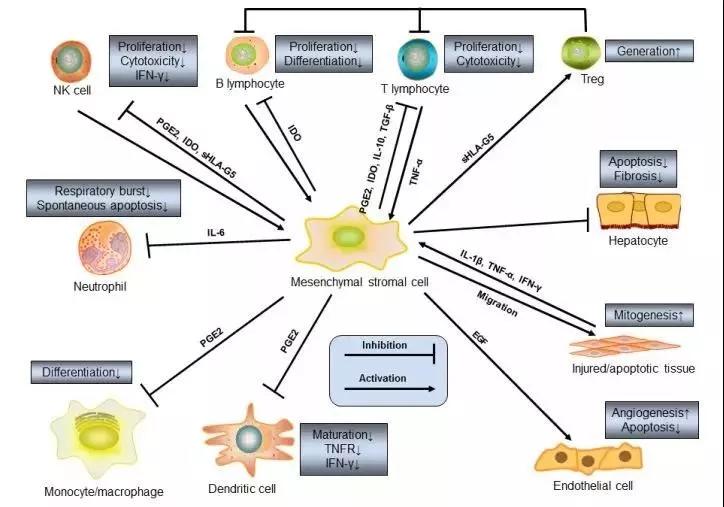全球疫情中医药,全球疫情中国驰援