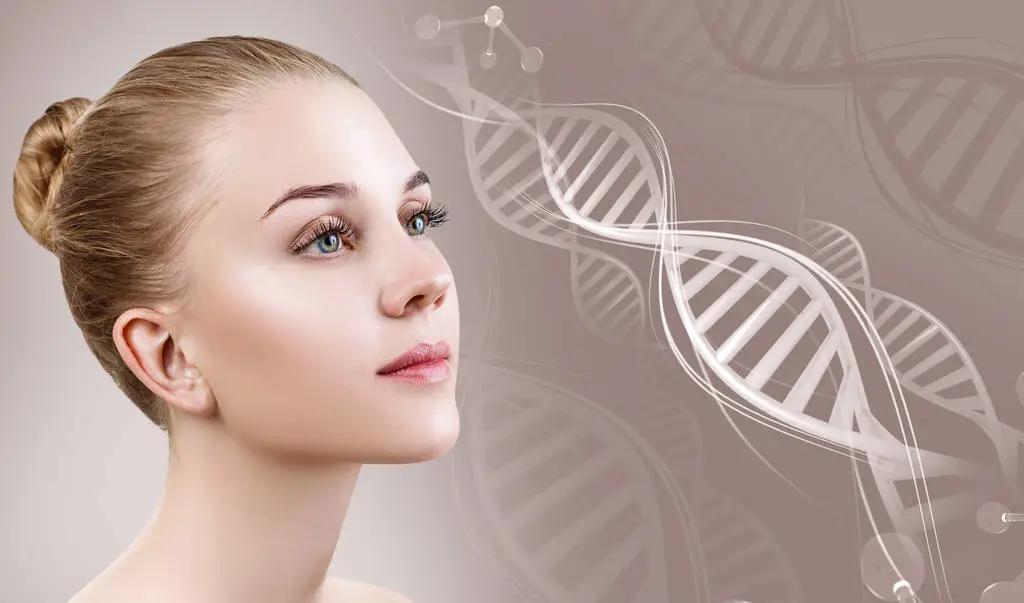 花胶加燕窝能补胶原蛋白吗,桃胶和花胶哪个补充胶原蛋白