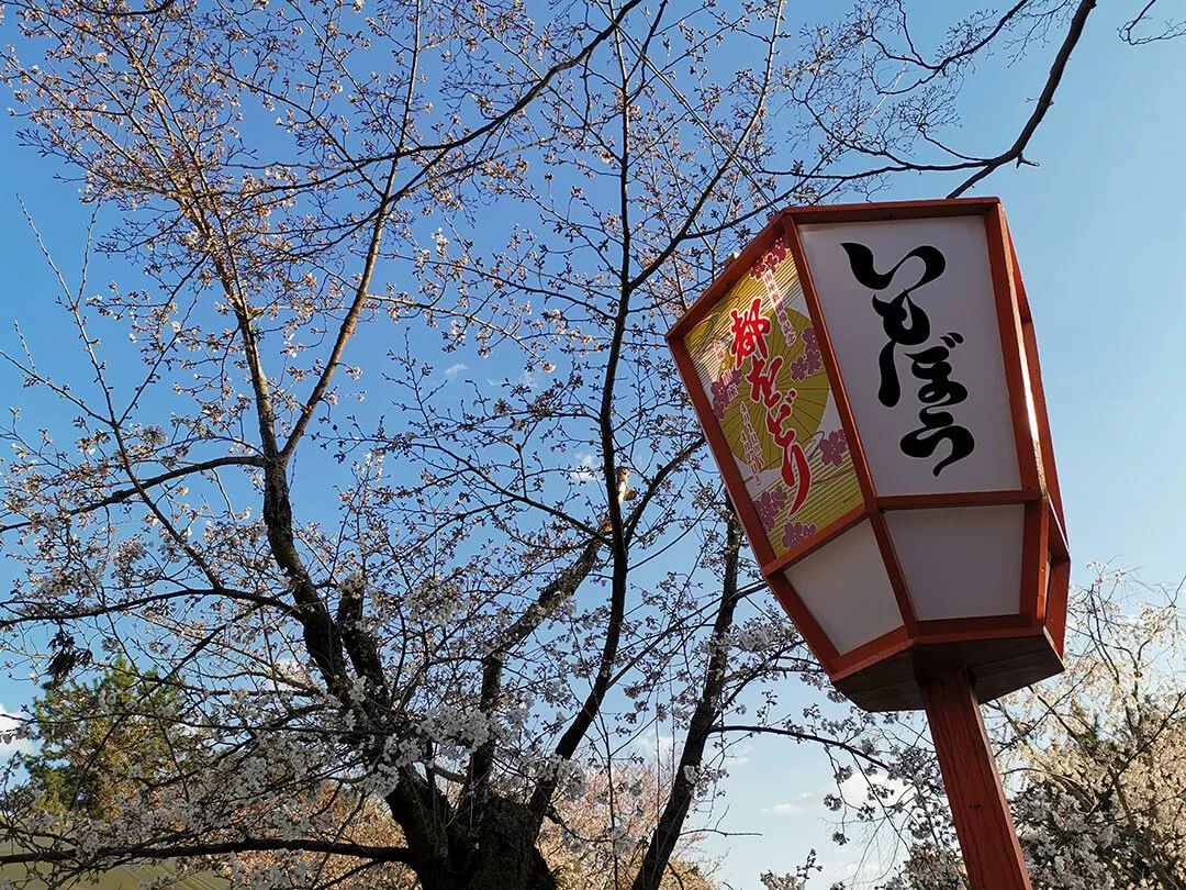 「慢达世界」第216期:短暂停留的京都生活,柊家的待客之道