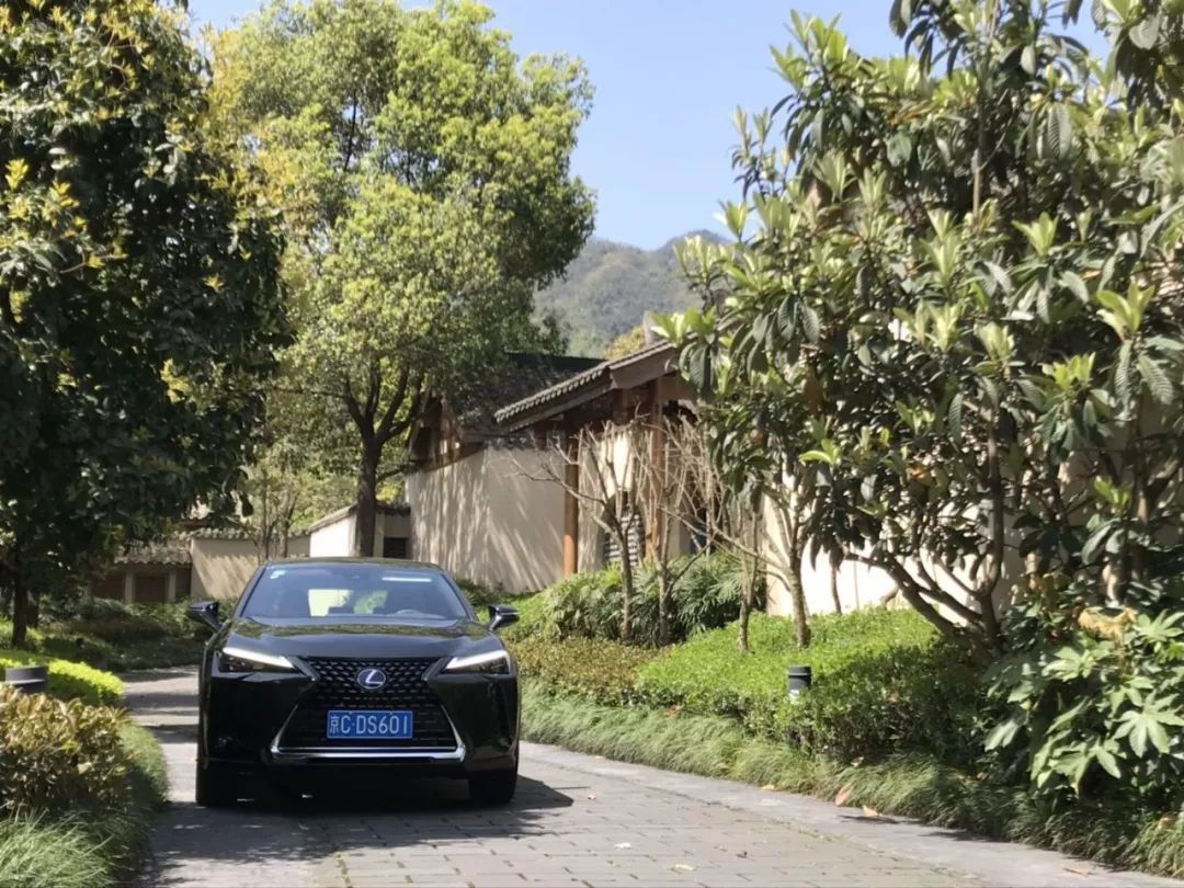 雷克萨斯ux有没有重大缺陷,买雷克萨斯ux的10大忠告