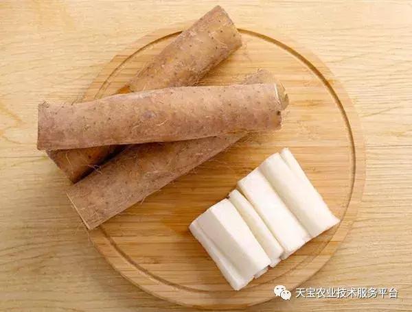 想种药材不知道怎么卖,300亩种什么药材好呢