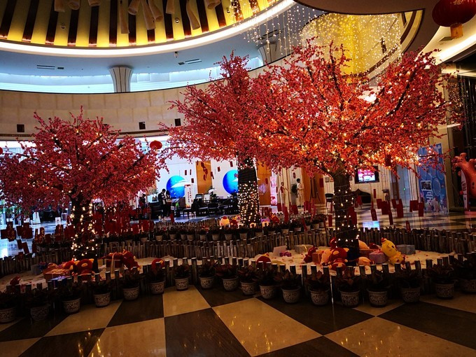 三亚新年自由行,一个人的旅行三亚之旅