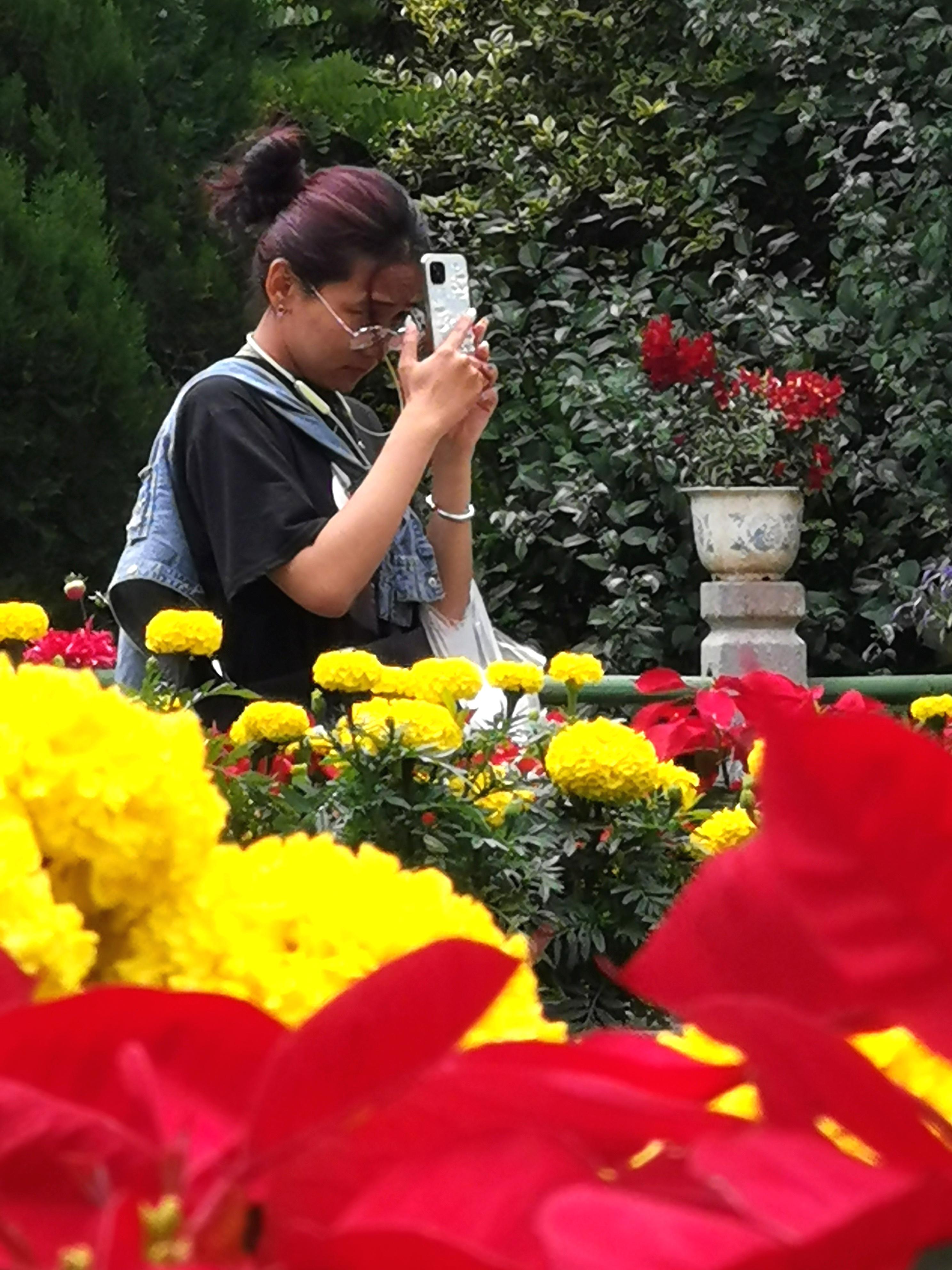 西藏拉萨这个城市好吗,拉萨市区是什么样的地方