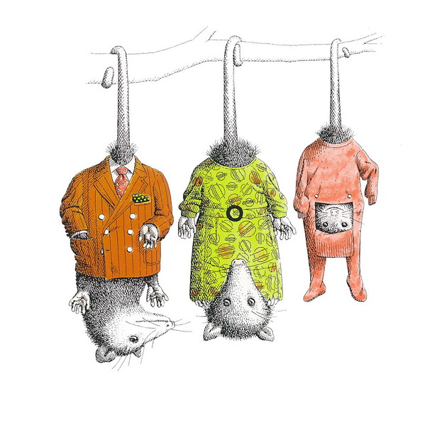 有意思的儿童绘本推荐书单,很有趣的小孩书