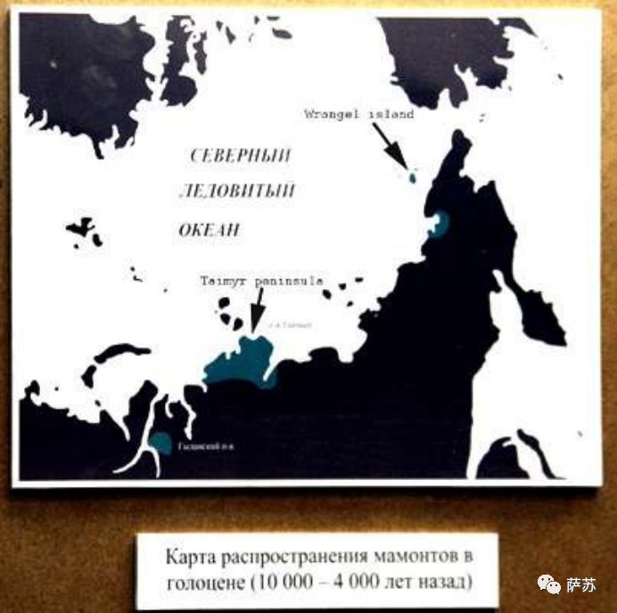 猛犸象灭绝是人类导致的吗,猛犸象灭绝原因的推测有几点