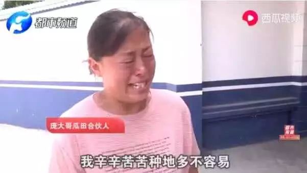 农民西瓜被偷反倒赔300元,瓜农西瓜被偷怎么赔偿