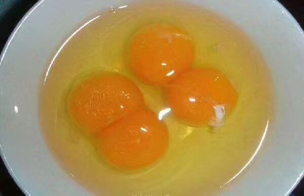 鸡的头部特征,鸡头部