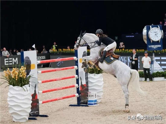 2019年中国马都第八届马术大赛,香港马术大赛2020