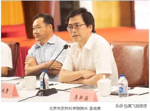 涓板ぇ闆嗗洟鏈夐檺鍏徃,涓板ぇ闆嗗洟