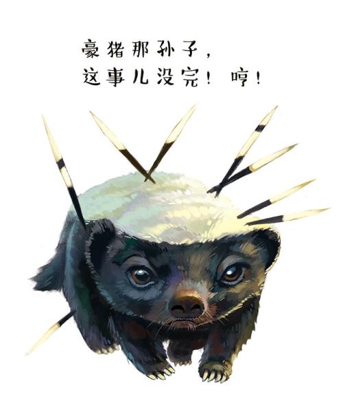 十大排名最强的食肉动物,十大食肉动物实力排名