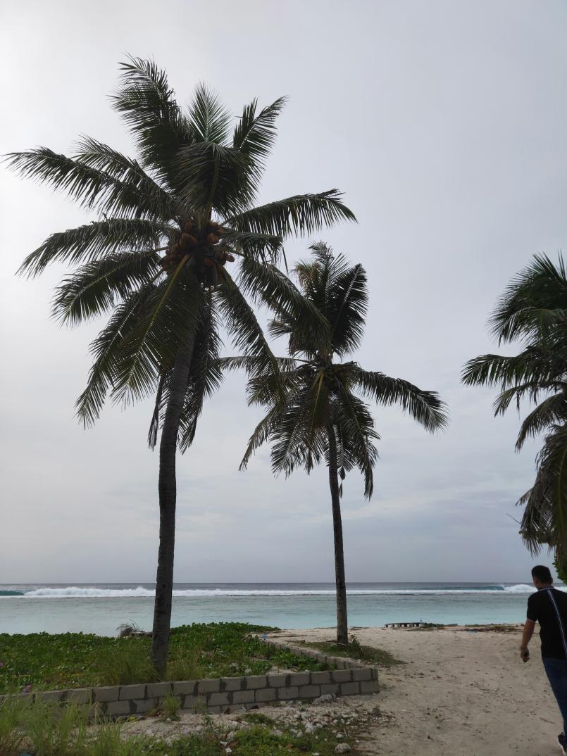 马尔代夫莉莉岛攻略,马尔代夫玛娜法鲁岛几星