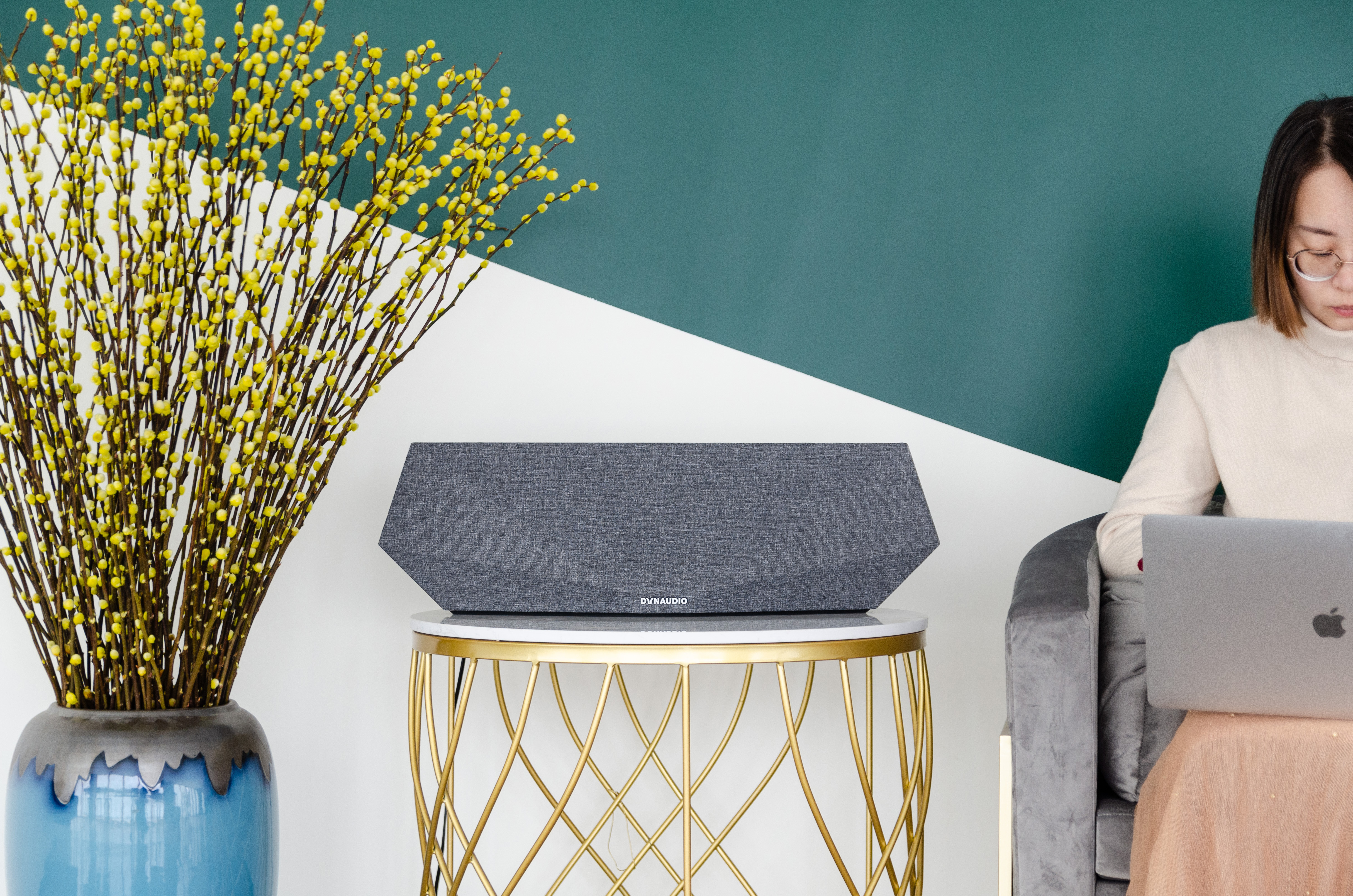 丹拿music5音箱哪个好,丹拿music5音响效果好吗