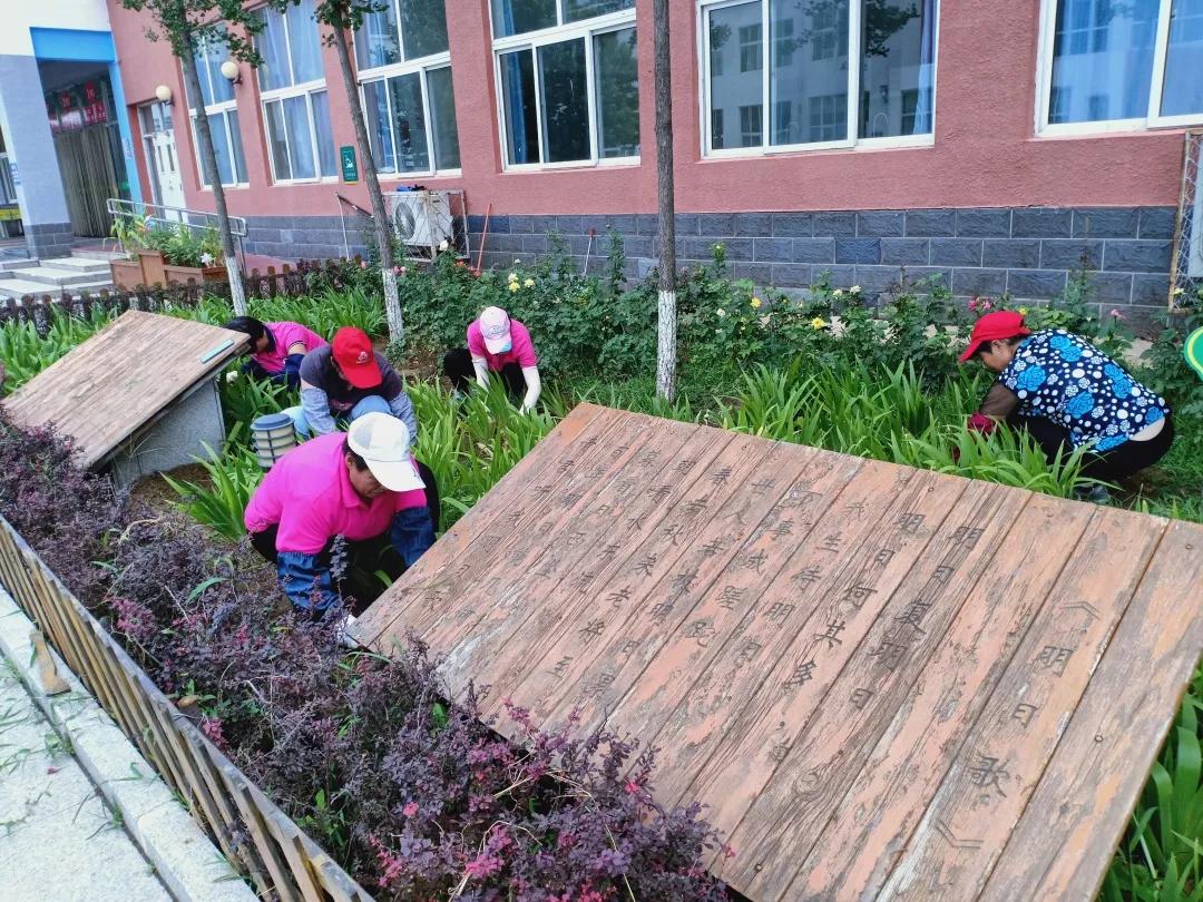 最美校园获奖照片,喜报学校荣获全面优胜单位