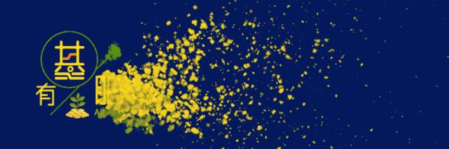 500、300、50?宽基、窄基?这9只上证XX指数到底啥关系丨侃指数