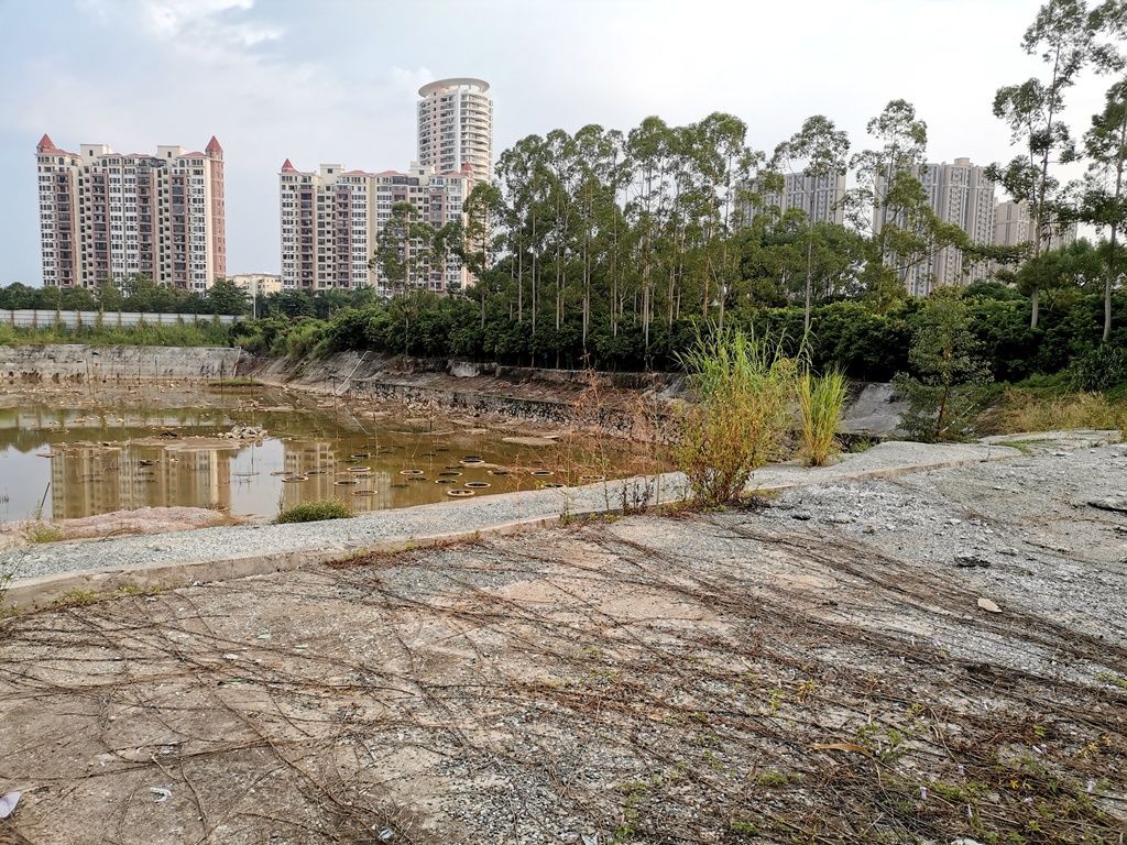 龙光地产2020年收1200亿,龙光再次拿下龙华地王