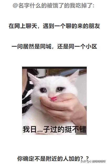 网恋居然网恋到兄弟的妈妈,没想到网恋对象竟是自己亲妈